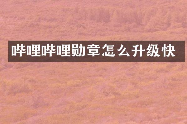 哔哩哔哩勋章怎么升级快