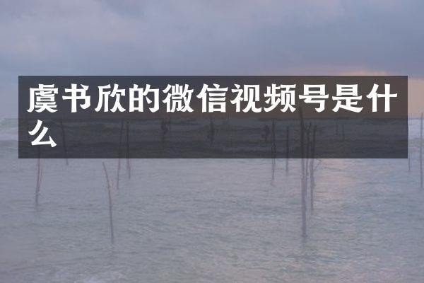 虞书欣的微信视频号是什么