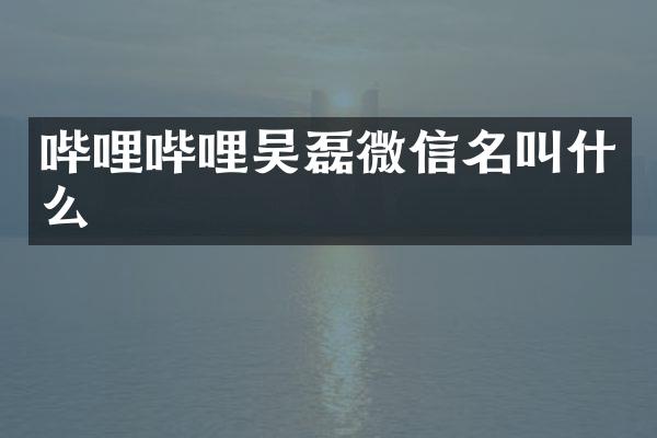 哔哩哔哩吴磊微信名叫什么