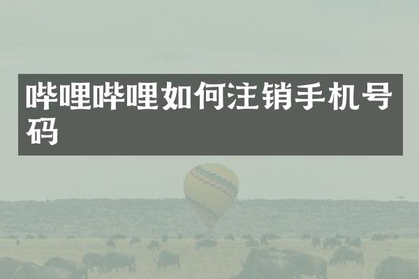 哔哩哔哩如何注销手机号码