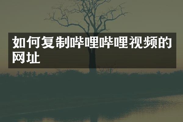 如何复制哔哩哔哩视频的网址