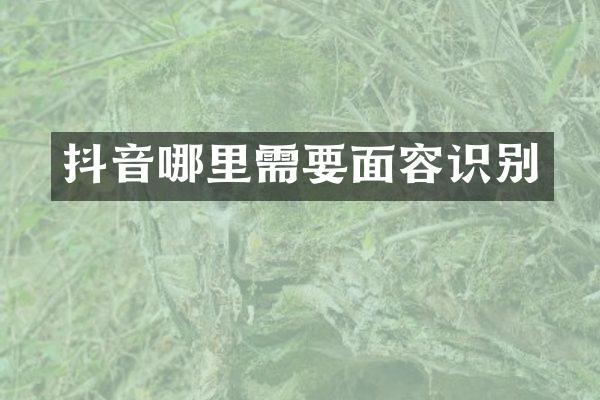 抖音哪里需要面容识别