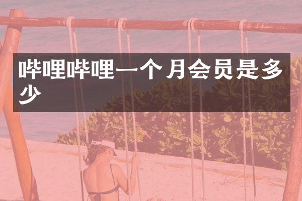 哔哩哔哩一个月会员是多少