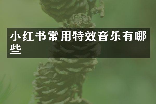 小红书常用特效音乐有哪些