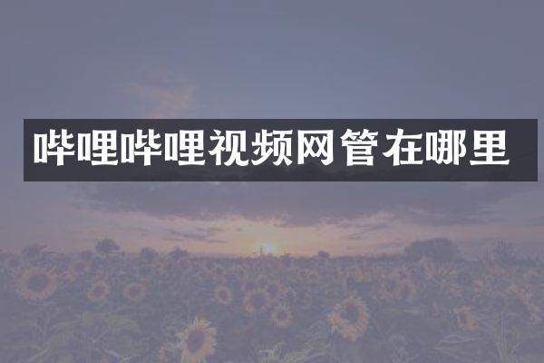 哔哩哔哩视频网管在哪里