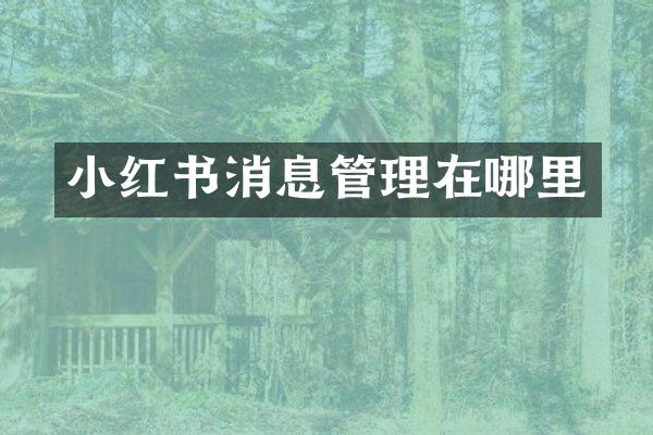 小红书消息管理在哪里