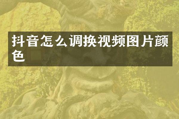 抖音怎么调换视频图片颜色