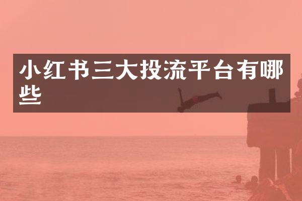 小红书三大投流平台有哪些