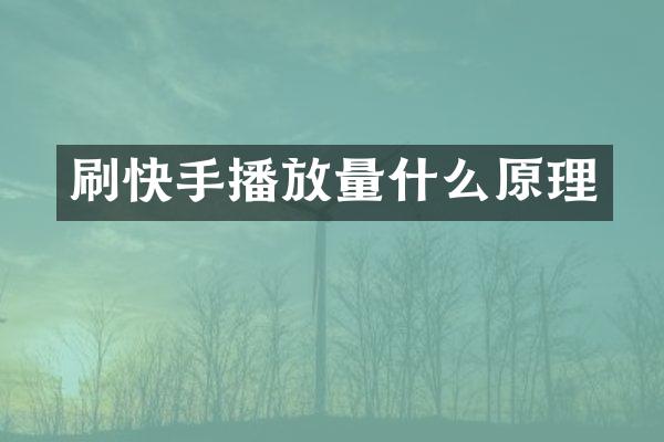 刷快手播放量什么原理
