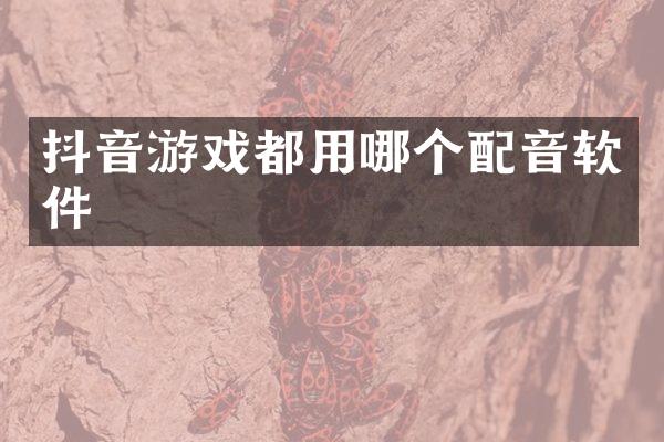 抖音游戏都用哪个配音软件