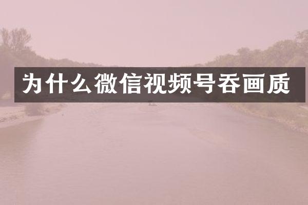 为什么微信视频号吞画质