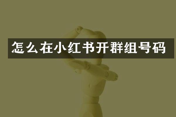 怎么在小红书开群组号码