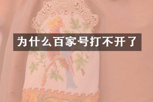 为什么百家号打不开了