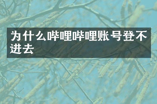 为什么哔哩哔哩账号登不进去