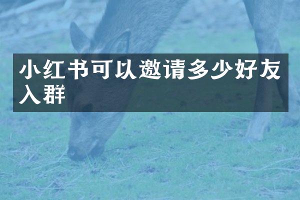 小红书可以邀请多少好友入群