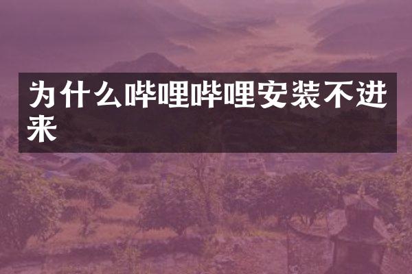 为什么哔哩哔哩安装不进来