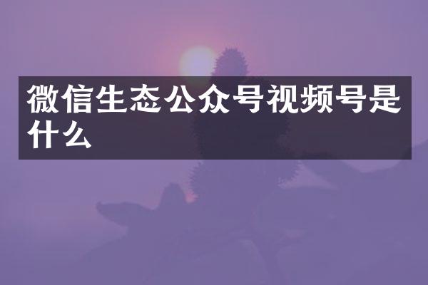 微信生态公众号视频号是什么