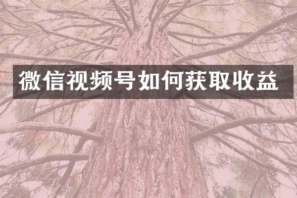 微信视频号如何获取收益