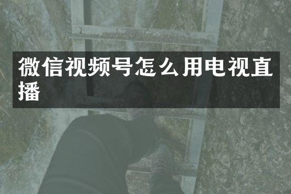 微信视频号怎么用电视直播