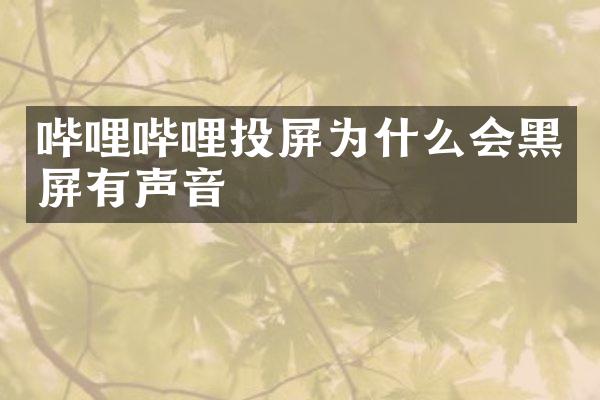 哔哩哔哩投屏为什么会黑屏有声音