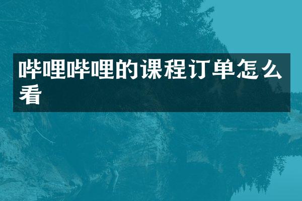 哔哩哔哩的课程订单怎么看