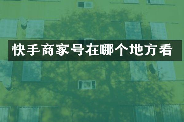 快手商家号在哪个地方看
