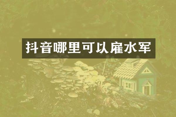 抖音哪里可以雇水军