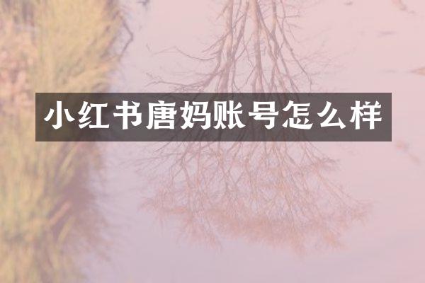 小红书唐妈账号怎么样
