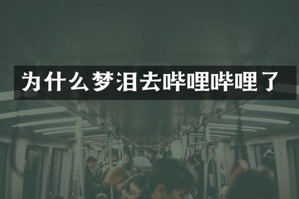为什么梦泪去哔哩哔哩了