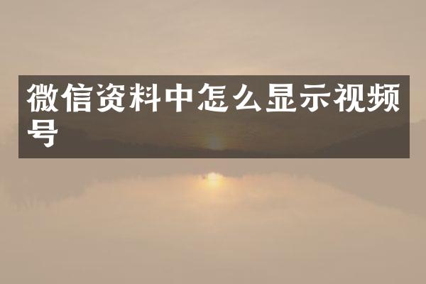 微信资料中怎么显示视频号