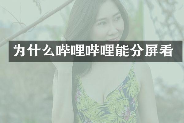 为什么哔哩哔哩能分屏看