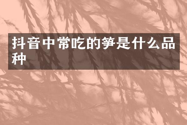 抖音中常吃的笋是什么品种