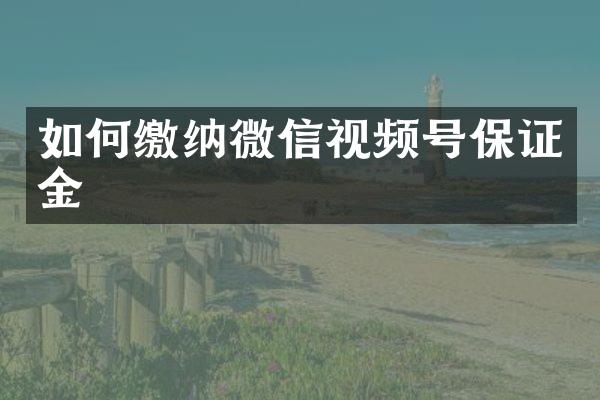 如何缴纳微信视频号保证金