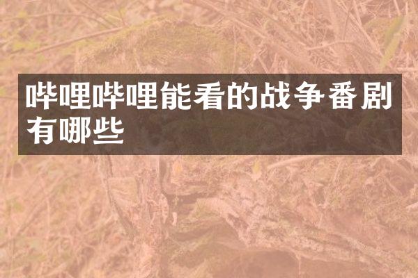 哔哩哔哩能看的战争番剧有哪些