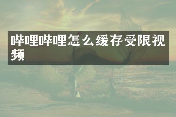 哔哩哔哩怎么缓存受限视频