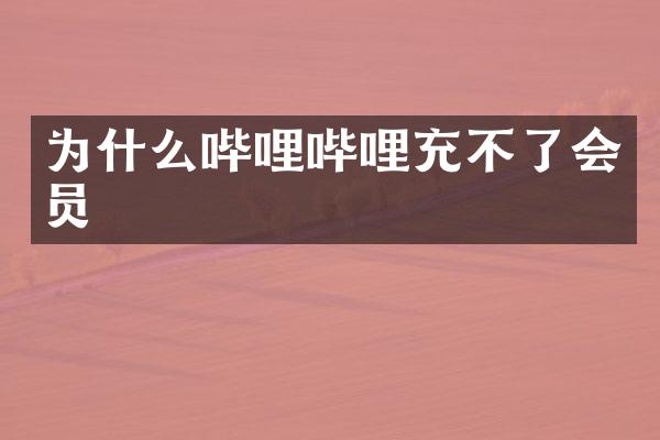 为什么哔哩哔哩充不了会员