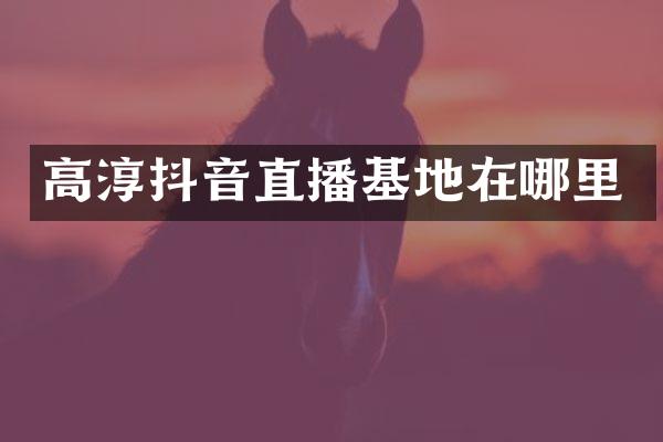 高淳抖音直播基地在哪里