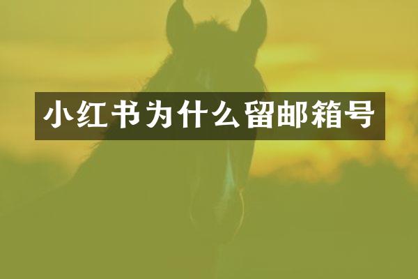 小红书为什么留邮箱号