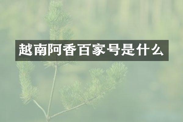 越南阿香百家号是什么