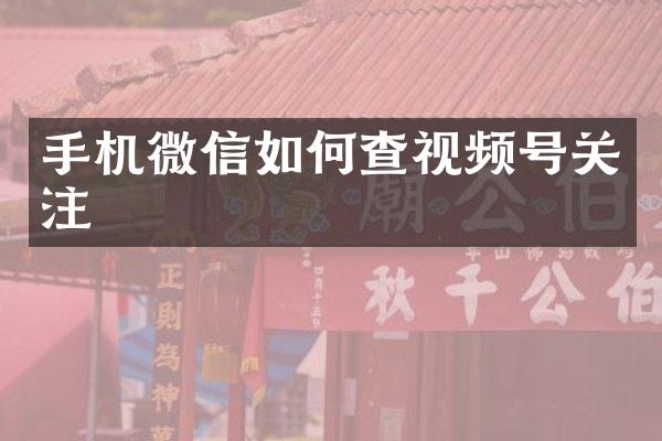 手机微信如何查视频号关注