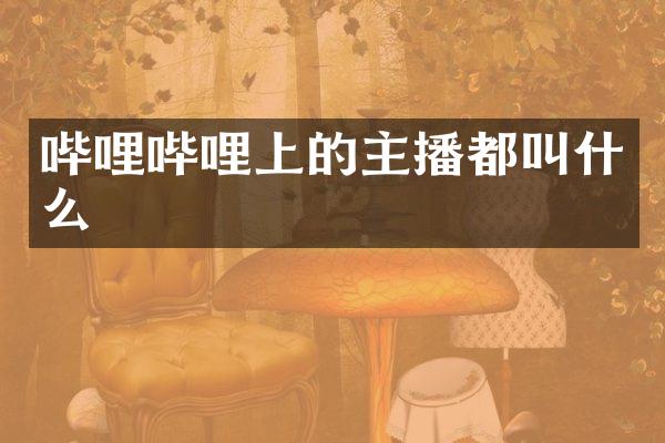 哔哩哔哩上的主播都叫什么