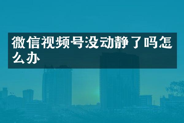 微信视频号没动静了吗怎么办