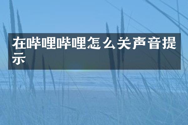 在哔哩哔哩怎么关声音提示