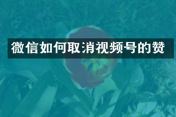 微信如何取消视频号的赞