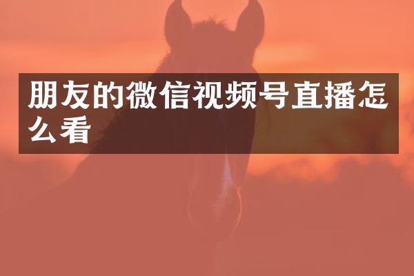 朋友的微信视频号直播怎么看