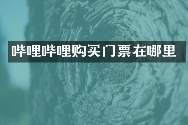 哔哩哔哩购买门票在哪里