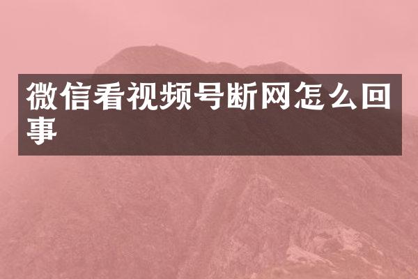 微信看视频号断网怎么回事