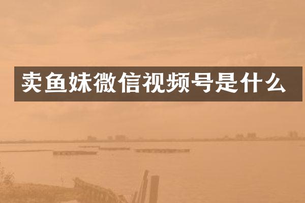 卖鱼妹微信视频号是什么