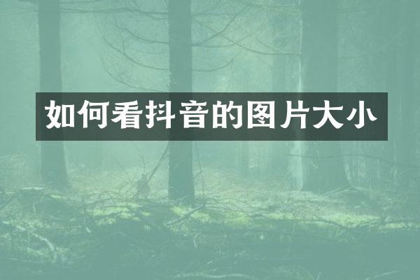 如何看抖音的图片大小
