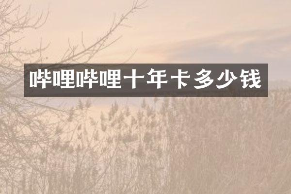 哔哩哔哩十年卡多少钱